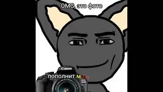 фото / плохая концовка 