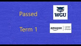 Passed Term 1 - WGU - Amazon Career Choice - Experience