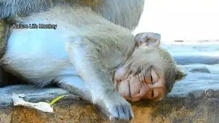 Extremely happiness Cute boy Lucas feeling good under Mom Leyla give best care nurse