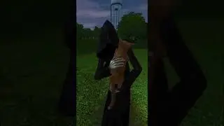 Cat death in The Sims 3