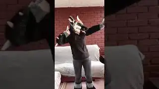 the grey dragonwolf is dancing 4