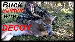 Deer Hunting 2018 -  BUCK with DECOY "Self Filmed"