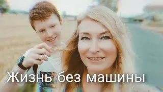 Поездка в город. Малиновый закат. Ёжики.