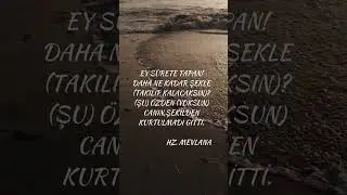 MEVLANA - MESNEVİDEN SEÇMELER  (EY SURETE TAPAN)