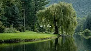 the quiet light of may 🌿 soft piano for peaceful days