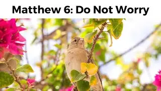 Matthew 6 Do Not Worry