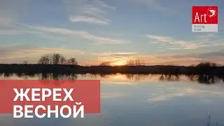 Жерех весной. Рыбы пока нет...
