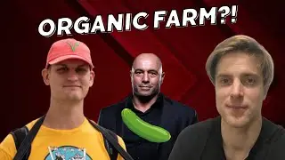 Does eating organic always mean you will be healthy?