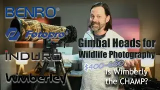 Gimbal Review for Wildlife ($400-600), Is Anything Better Than Wimberly