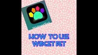How to use widget pet!