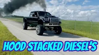 The BADDEST HOOD STACKED Diesel Compilation!!
