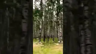 Сатка скоро.