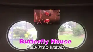 Butterfly House | Jallo Park