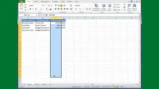 Excel Tutorial #09: Automatic typing