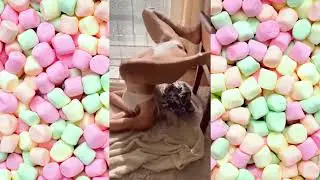 Big Body Tiktok Challenge🍑🍒#bigbank [zwcrDJLmADE] 00-01-02_p9bos5