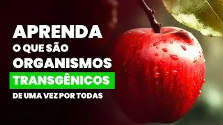Aprenda o que são organismos TRANSGÊNICOS de uma vez por todas