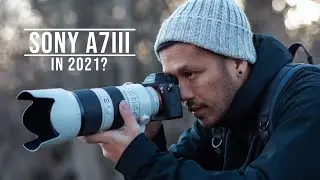 Sony A7 III Long Term Review