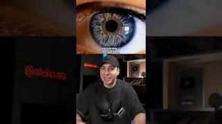 NEURALINK WILL RESTORE VISION TO THE BLIND. BLINDSIGHT 