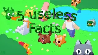 5 Fun Fact, Pet Simulator X