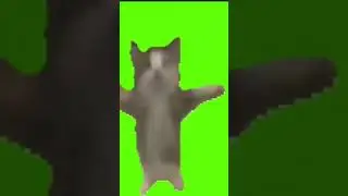 шнишнашнапи на зелёном фоне 