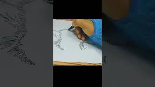 Typography Drawing: Arnold Schwarzenegger