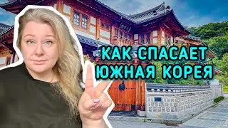 Как спасает людей корейская волна