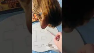Делаем биткоин с Масей😁 #картинанахолсте #биткоин