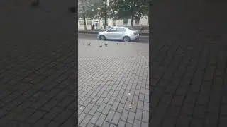 12 октября 2020 г.(2)