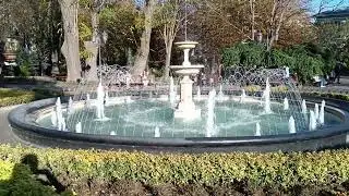 Одесский ноябрь: Горсад