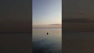 #Азовское #море #закат июль