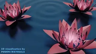 lotus flower animation