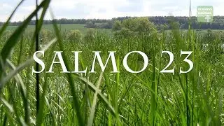 The Lord is my Pastor in SPANISH | Psalm 23 | CATHOLIC PRAYERS