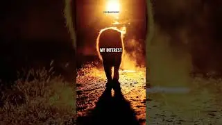 LION KILLER🔥|ft.LION #lionattitudestatus #lion #lionquotes
