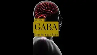 GABA Makes New Brain Cells