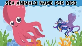 Sea Animals name for kids | sea animals cartoon | ocean animals name