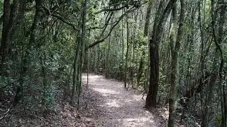 Parque Estadual Guartelá