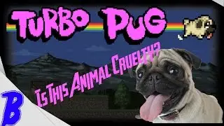 Turbo Pug - First Look - Is This Animal Cruelty?