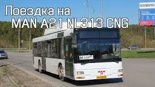 Автобус MAN A21 NL313 CNG (МА 035 66) по маршруту №14 || Каменск-Уральский