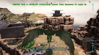 Ark Our first 4 days on