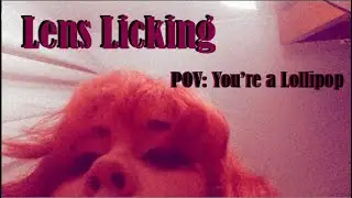 POV: You're a Lollipop| LENS LICKING, MOUTH SOUNDS, TONGUE FLUTTERING