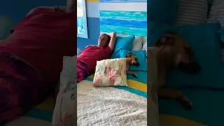 КОЛУМБИЯ СПЯТ МОИ КОТЯТКИ #продолжаемнеработать #колумбия #море