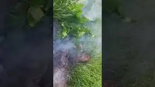 френдли фаер-огонь по комарам.