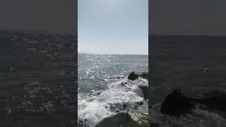 Черное море 26 сентября 2023 года ветер северо-восток