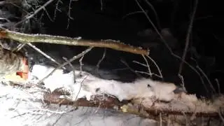 Пилим завал на трассе