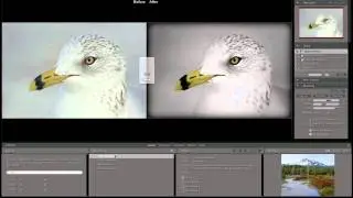 Creativity Beyond Capture with Laurie Excell