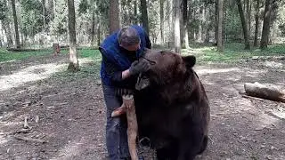 Медведь Том и Эрик