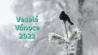 Veselé Vánoce 2022