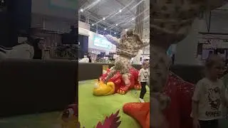 KID JUMPING in slow mo FROM HIGH