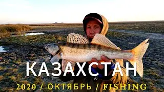 РЫБАЛКА в КАЗАХСТАНЕ 2020 / Лучший ОТДЫХ НА ПРИРОДЕ ОСЕНЬЮ!