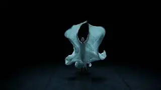 Jérôme Bel & Estelle Zhong Mengual – Non human dances